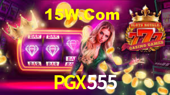 Premium Interface PGX555