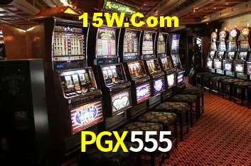 Security Systems PGX555
